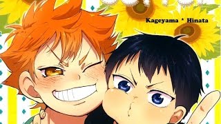 Kagehina Doujinshi  A Little Setter English [upl. by Noraha859]