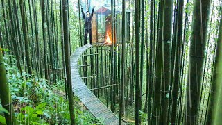 Build a Bamboo Shelter on the Top of a Bamboo Tree  Hung Bushcraft [upl. by Monson]