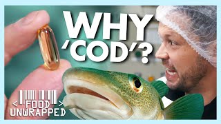 Why is the oil always from Cod Liver  Food Unwrapped [upl. by Nosirrag959]