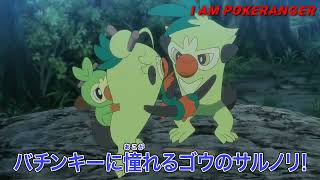 Goh Grookey evolves 😲 into Thwackey  Pokemon journeys episode 101  Preview 🔥 [upl. by Grati]