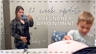 23 Week 🤰🏻 Pregnancy Appointment Pregnancy Update  Life after vacation Update [upl. by Nikal]