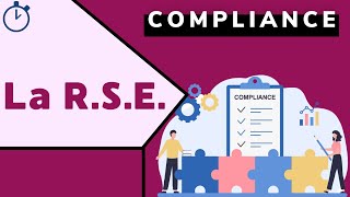 La RSE cest quoi  Master DEA Compliance [upl. by Jillayne18]