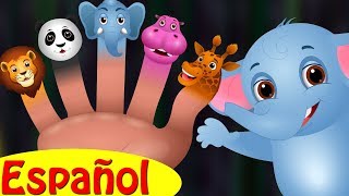 Familia Dedo Elefante Colección  Canciones infantiles en EspañolChuChu TV [upl. by Fleisher]