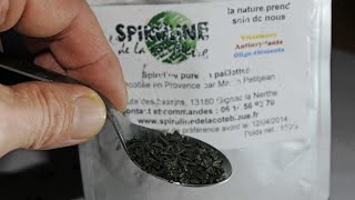 Les bienfaits de la spiruline [upl. by Nelrac845]