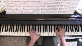 JOHANN STRAUSS II Blue Danube Waltz Op 314 arr Rummel [upl. by Lrac]