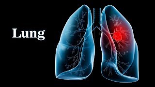 Pulmonary Ventilation System Respiratory [upl. by Rosa]