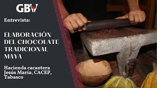 Elaboración Chocolate Tradicional Maya [upl. by Saidel838]