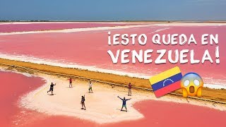 Venezuela 🇻🇪 estado Falcón y sus maravillas Palmeras desierto salinas rosadas y MÁS [upl. by Acnairb]