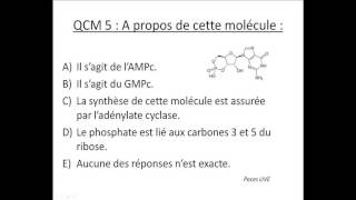 QCM  UE 1  Biologie moléculaire [upl. by Savina401]