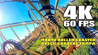 Montu Roller Coaster Front Seat Ride INCREDIBLE 4K 60FPS Footage Busch Gardens Tampa [upl. by Caughey606]