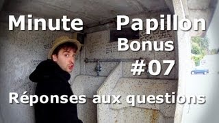 Minute Papillon Bonus 07 Réponses aux questions [upl. by Sherwynd11]