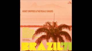 Honey Drippers amp The Pegalo Singers  A hard days night [upl. by Lertram]