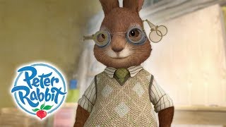 Peter Rabbit  Unlikely Allies  Cartoons for Kids [upl. by Vincenz]