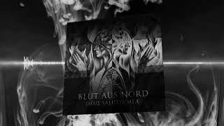 BLUT AUS NORD  Abisme [upl. by Abigale]