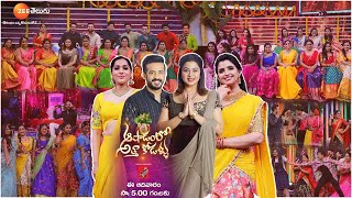 Zee Telugu Live  Watch Zee Telugu Channel Live Online [upl. by Devaney]