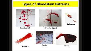 Blood Spatter Notes Forensics [upl. by Libyc]