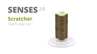 How to teach your cat to use the Catit Senses 20 Scratcher [upl. by Donna]