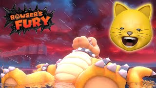 I BEAT BOWSERS FURY Super Mario 3D World [upl. by Yvan]