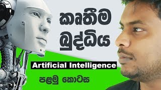 Artificial Intelligence 🧠 🇱🇰 Episode 01 [upl. by Schober]