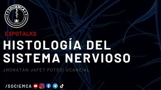 Histología del Sistema Nervioso [upl. by Oirotciv]