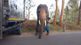 NM Nagarvalam  Elephant Probelm Became More In Pandalur Taluk  NM TV [upl. by Jaquiss]