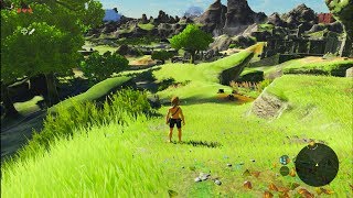 The Legend of Zelda Breath of the Wild  PC Gameplay [upl. by Cavallaro268]