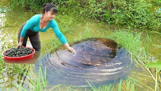 Harvesting Mussels Underneath The Mud Goes To Market Sell  Cooking Mussels  New Free Bushcraft [upl. by Ycam]