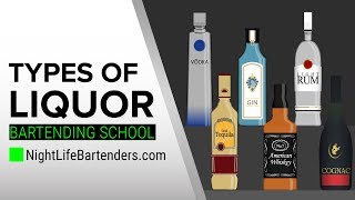 Types of Liquor  Bartending School [upl. by Tneciv]