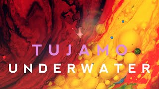 TUJAMO  Underwater Offical Visualizer [upl. by Ynove]