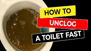 How to Unclog a Toilet Fast 🚽 [upl. by Latouche]