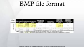 BMP file format [upl. by Reidar]