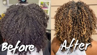 Honey Blonde Hair Using NO BLEACH  IS IT POSSIBLE [upl. by Sonahpets]