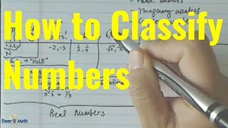 DIFFERENCE BETWEEN Natural Whole Integer Rational Irrational Imaginary and Complex Numbers [upl. by Aihsatal]