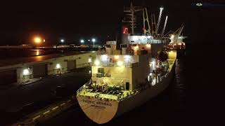 MV Delmonte Gold and Seatrades Pacific Mermaid [upl. by Roer]