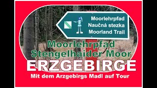 Moorlehrpfad in der Stengelhaide im Erzgebirge Herbst 2020 [upl. by Esej696]