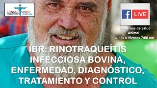 IBR RINOTRAQUEITIS INFECCIOSA BOVINA [upl. by Nesahc]