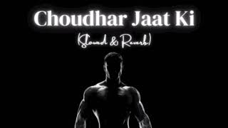 Choudhar Jaat Ki slowed and reverb [upl. by Elleimac]