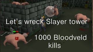 Runescape 2007  Lets wreck Slayer tower 1000 Bloodveld kills [upl. by Darcia]