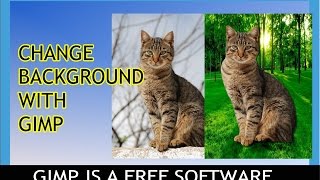 ChangeRemove Background with Gimp for free [upl. by Edaw]