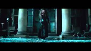 Bellatrix Confronts Dobby  Deathly Hallows Part 1 TV Spot [upl. by Jordon565]