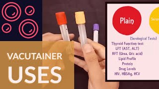 Blood Collection Vacutainer  Uses  Ateev Chandna [upl. by Jemie]