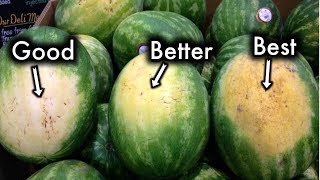 How To Pick The Sweetest Watermelon Every Single Time [upl. by Llered]