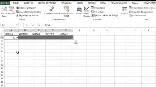 Macro en Excel de captura de datos [upl. by Nuahsed]