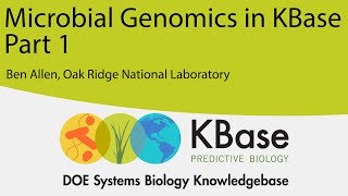 Microbial Genomics in KBase Part 1 Drafting and Improving Isolate Genomes [upl. by Niawat]