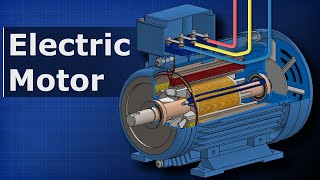 How Electric Motors Work  3 phase AC induction motors ac motor [upl. by Zevahc]