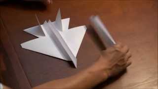 F15 Stealth Eagle How To Fold by Evolution Paper Jets [upl. by Raimes]