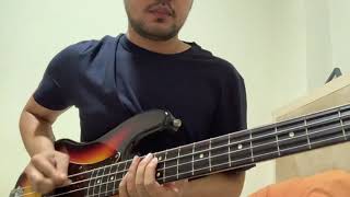 The Brandals  Awas Polizei Bass Cover [upl. by Ahsikat]