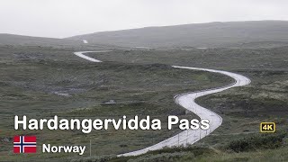 Hardangervidda Pass In Norway  Road Trip In Stunning in 4K [upl. by Nidnal]