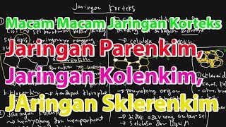 Jaringan Korteks Jaringan Parenkim Kolenkim dan Sklerenkim [upl. by Parry]