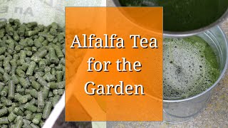 Alfalfa Tea for the Garden [upl. by Ennaitsirk]